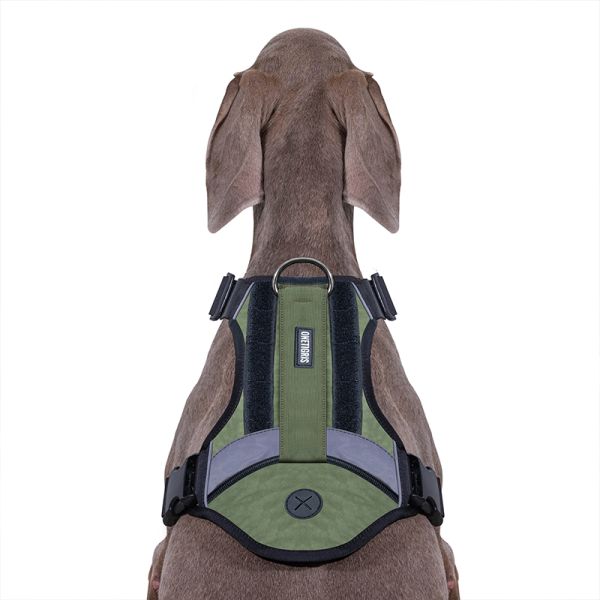 ONETIGRIS GROVER Tactical Dog Harness Ranger Green Medium Gear Australia by G8