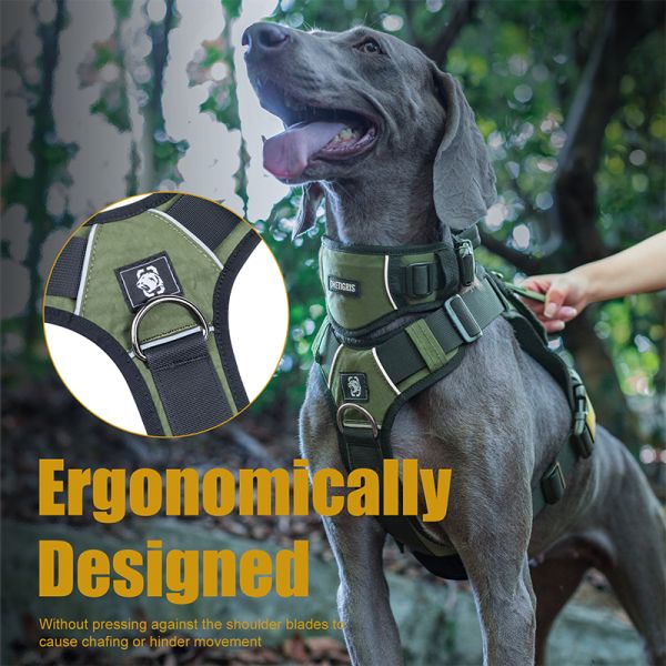 ONETIGRIS GROVER Tactical Dog Harness Ranger Green Medium Gear Australia by G8